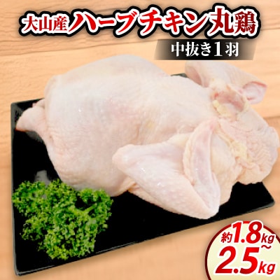 ��R���Y�n�[�u�`�L���ی{(������1�H ��1.8�`2.5kg)