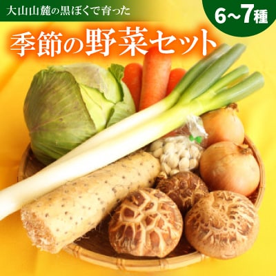 季節の野菜セット(6～7種)