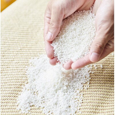 C099もろみ美人(300ml)