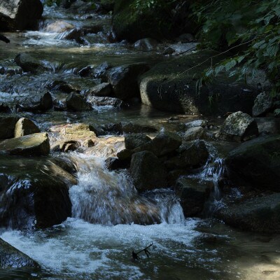 C107どぶろく・あま酒・もろみ美人セット(300ml×5本)
