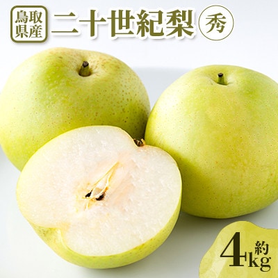 【先行予約】二十世紀梨　秀 約4kg