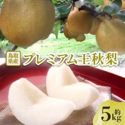 【先行予約】プレミアム王秋梨 約5kg