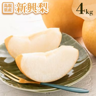 新興梨 4kg