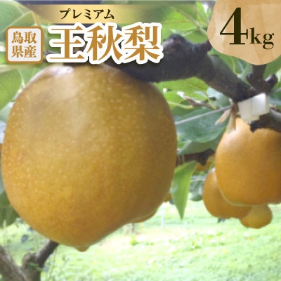 プレミアム王秋梨　4kg