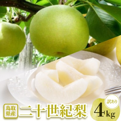 【訳あり】二十世紀梨　4kg