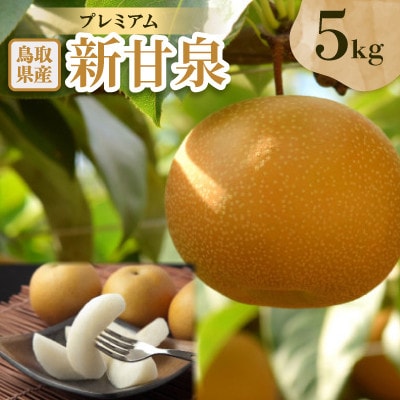 プレミアム新甘泉 5kg