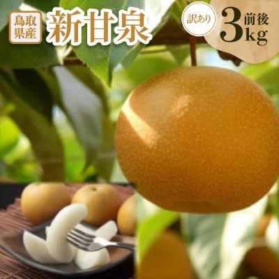 訳あり　新甘泉(しんかんせん)　3kg前後