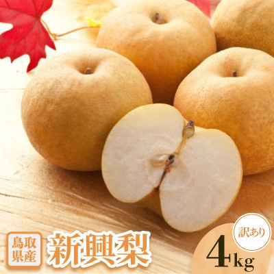 【訳あり】新興梨　4kg