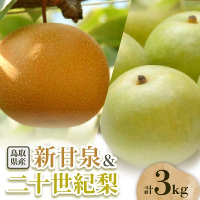 二十世紀梨と新甘泉のセット 3kg