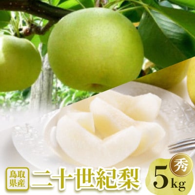 二十世紀梨 秀5kg