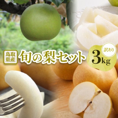 【訳あり】鳥取県産旬の梨 3kg