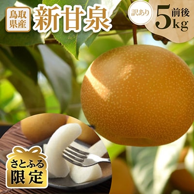【さとふる限定】訳あり　新甘泉　約5kg
