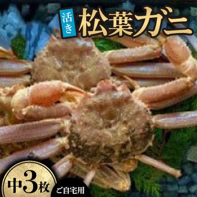 【先行予約】【活き】ご自宅用　松葉ガニ　中　3枚(1枚500～640g前後)※11月中旬から順次発送