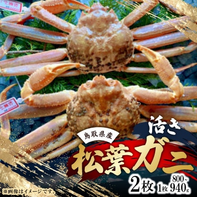 【先行予約】【活き】タグ付き松葉ガニ　大　2枚(1枚800～940g前後)　※11月中旬から順次発送