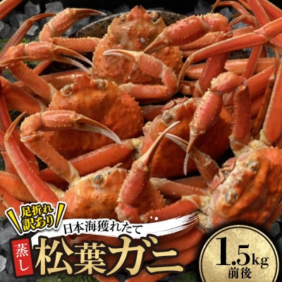 【先行予約】訳あり足が折れた蒸し松葉ガニ1.5kg前後　※11月中旬から順次発送