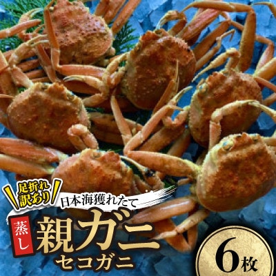 【先行予約】【蒸し】訳あり足折れ日本海産親ガニ(セコガニ)　6枚　※11月中旬から順次発送