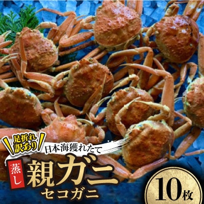 【先行予約】【蒸し】訳あり足折れ日本海産親ガニ(セコガニ)　10枚　※11月中旬から順次発送