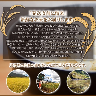 令和7年 鳥取県産　山崎農園こしひかり10kg