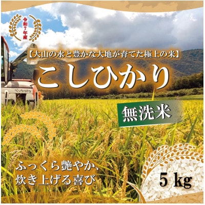 令和7年 鳥取県産　山崎農園こしひかり無洗米5kg