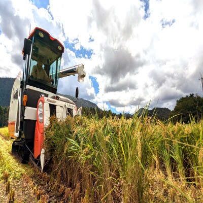 令和7年 鳥取県産　山崎農園こしひかり無洗米5kg