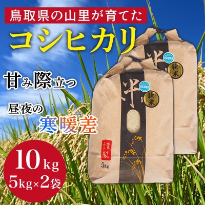 【令和8年産】鳥取県産「コシヒカリ」玄米 10kg(5kg×2)