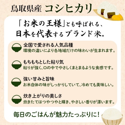 【令和8年産】鳥取県産「コシヒカリ」玄米 10kg(5kg×2)