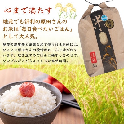 【令和8年産】鳥取県産「コシヒカリ」玄米 10kg(5kg×2)