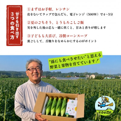【朝採れ当日発送】大山スイートコーン10本|2L～3Lサイズ(約4kg)|恵味スター