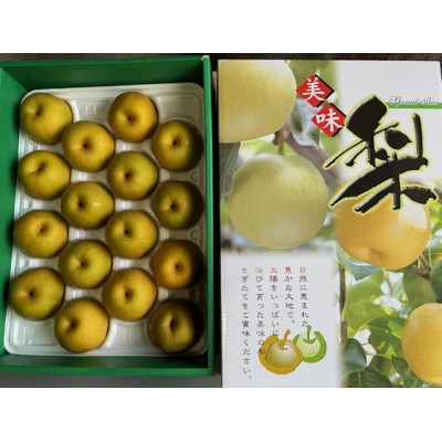 新甘泉　約4.5kg