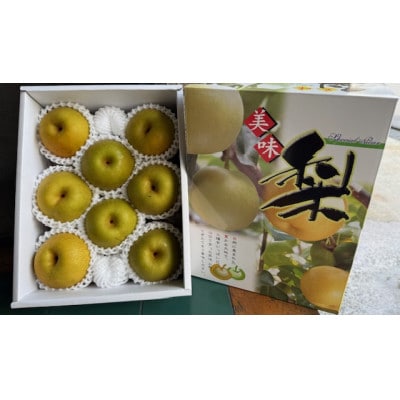 新甘泉　約2.2kg