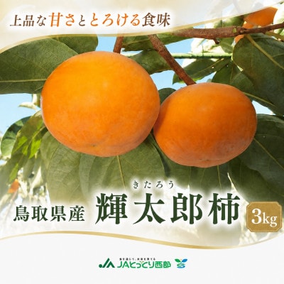 【受付期間9月30日まで】鳥取県産柿　輝太郎(きたろう)柿　3kg