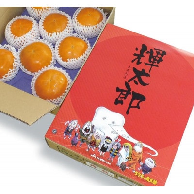 【受付期間9月30日まで】鳥取県産柿　輝太郎(きたろう)柿　3kg