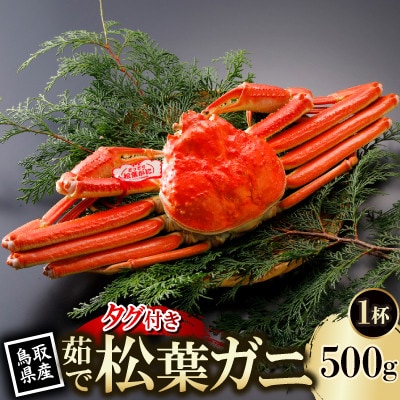 【先行予約】鳥取県産 タグ付き 茹 松葉がに 500g×1杯(中村商店)2026年11月発送