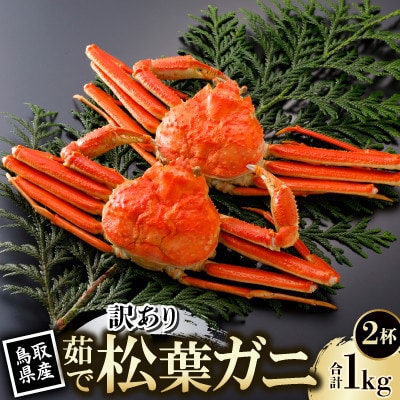 【先行予約】鳥取県産 訳あり 茹 松葉がに 500g×2杯(中村商店)2026年11月発送