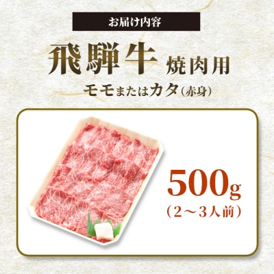 飛騨牛 モモまたはカタ 焼肉用 500g 2～3人前 牛肉 和牛 養老ミート