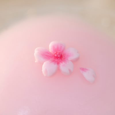 人工乳房 さくらパッド・Sサイズ