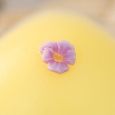 人工乳房 すみれパッド・Sサイズ