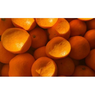 【限定先着100セット】「あさかのきさきエール」6缶セット