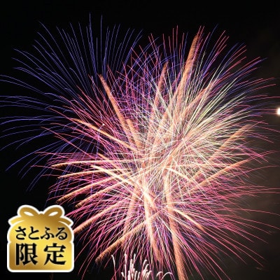 【さとふる限定】第43回「彩夏祭」花火観覧チケット朝霞中央公園陸上競技場フリーエリア