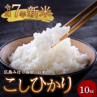 令和7年新米 コシヒカリ 白米10kg 2025年11月中旬～順次発送[220-002]