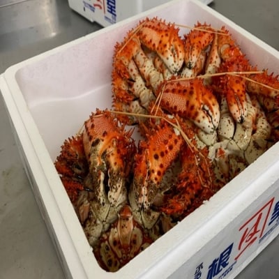 【年内配送可○】浜ゆで花咲がに活時700～900g前後×3尾 C-60002