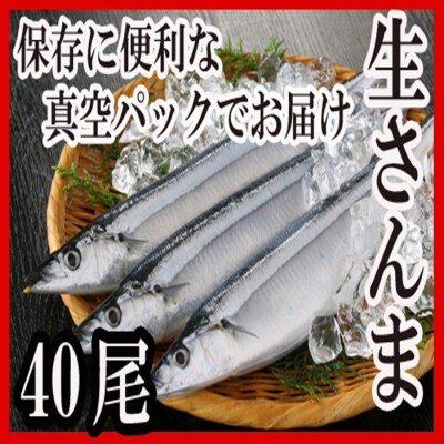 【年内配送可○】★冷凍さんま40尾 C-30002