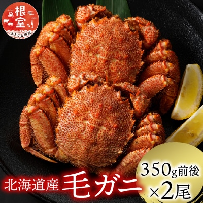 【年内配送可○】浜ゆで毛がに350g前後×2尾 A-21001