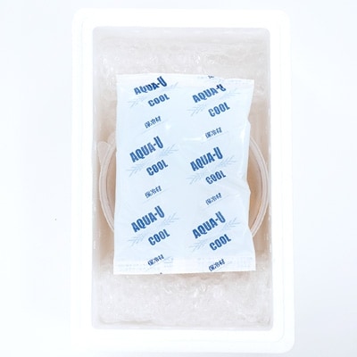 【年内配送可○】ムラサキウニ塩水パック100～110g×2P B-81007