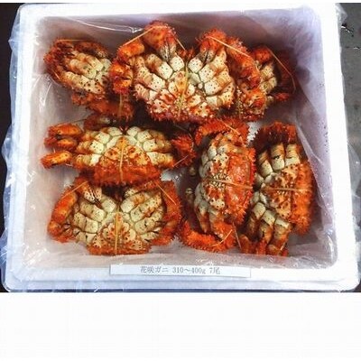 【年内配送可○】★花咲ガニ310～400g×7尾 B-57001