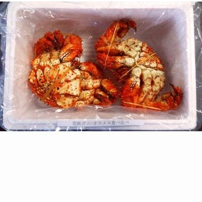 【年内配送可○】★花咲ガニオスメス各1尾(計1.3kg前後) B-57006