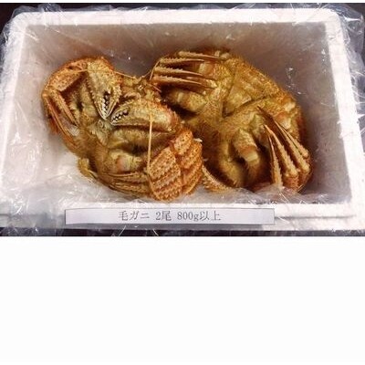 【年内配送可○】★毛ガニ2尾(計800g以上) C-57012