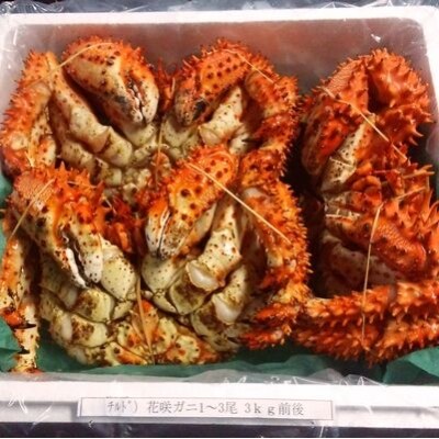 【年内配送可○】★花咲ガニ計3kg前後(チルド便) D-57006
