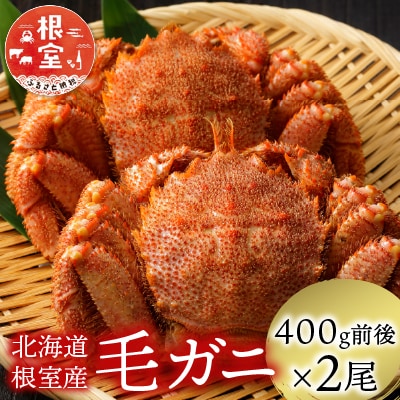 【年内配送可○】＜計800前後＞★毛がに400g前後×2尾 B-21003