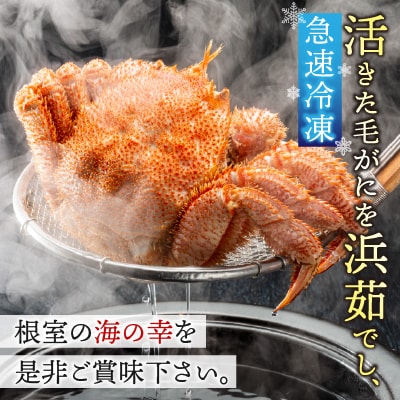 【年内配送可○】＜計800前後＞★毛がに400g前後×2尾 B-21003